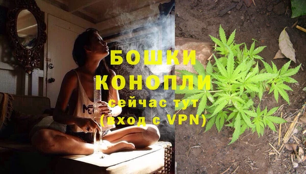 ECSTASY Абаза